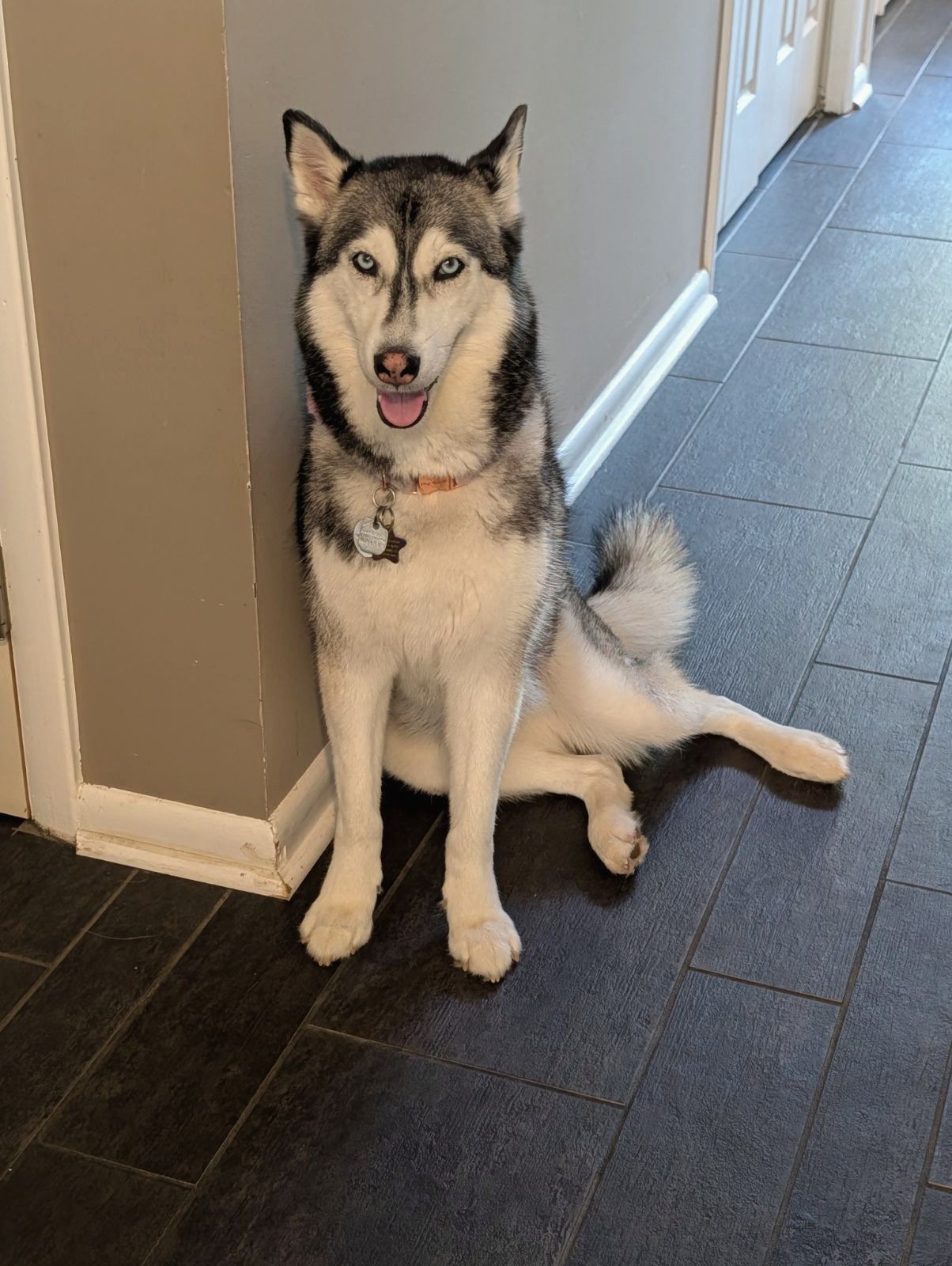 Her husky sitting in a hallway